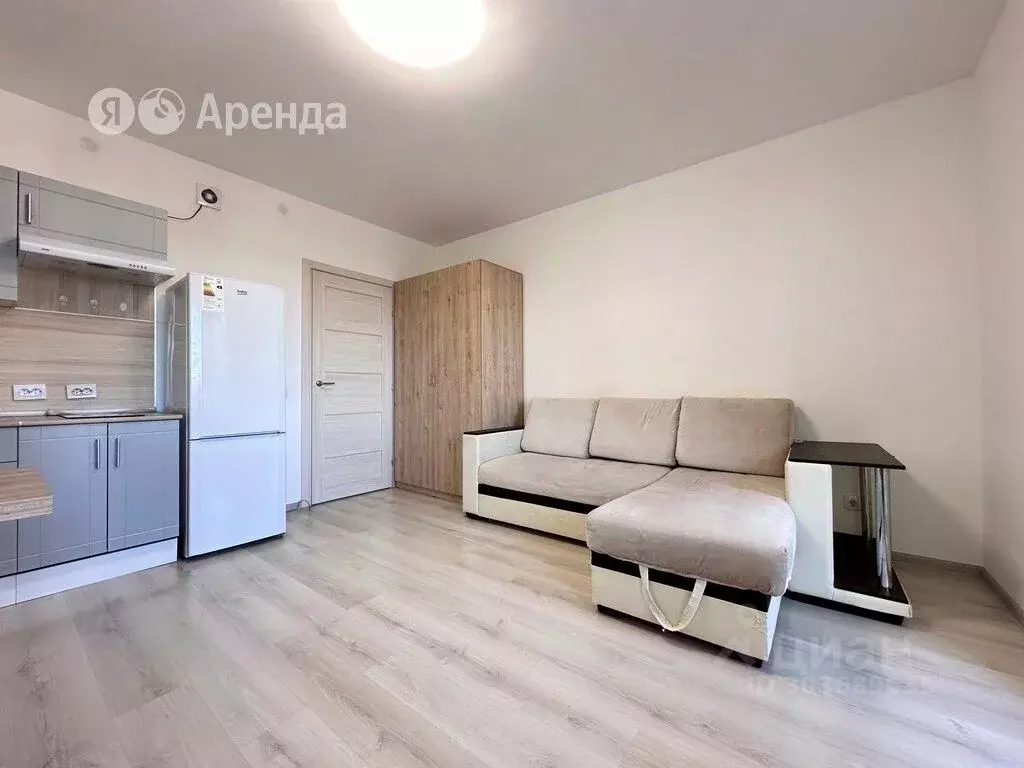 Студия Санкт-Петербург просп. Ветеранов, 175 (24.0 м) - Фото 1