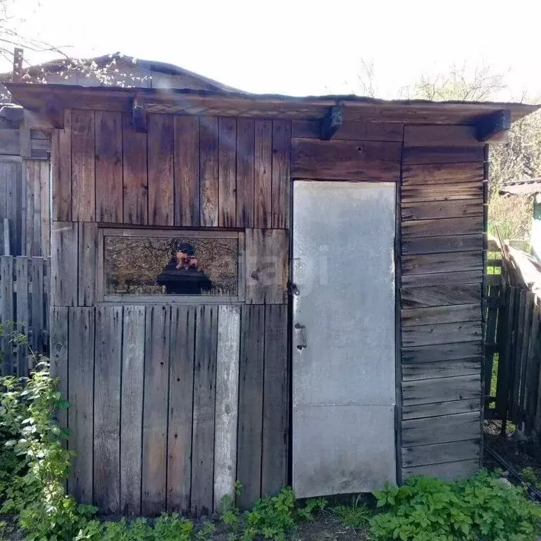 Участок в Ярославль, СНТ Нефтяник-1 (3.2 м) - Фото 2