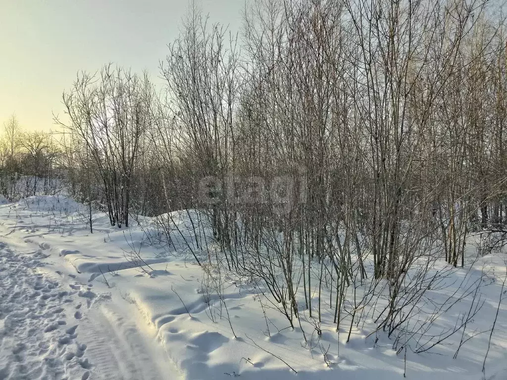 Участок, 10 сот., поселения (ижс) - Фото 1