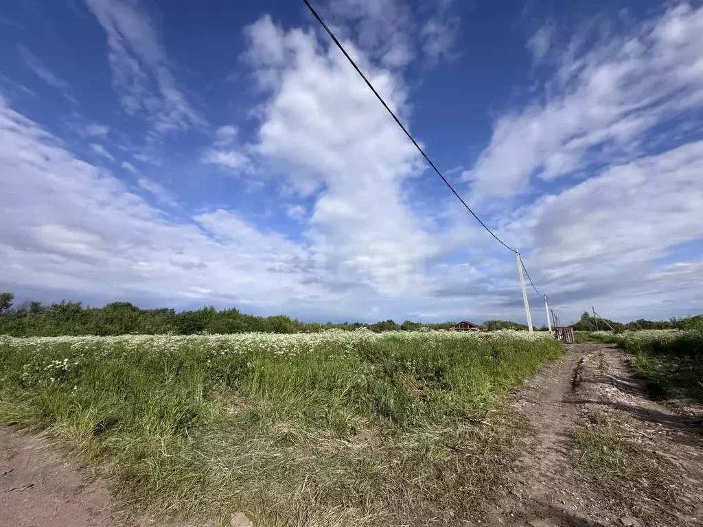Участок в Архангельская область, Архангельск Малое Никольское ТСН,  ... - Фото 1