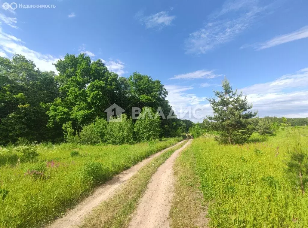 Участок в городской округ Владимир, деревня Уварово (7.2 м) - Фото 2