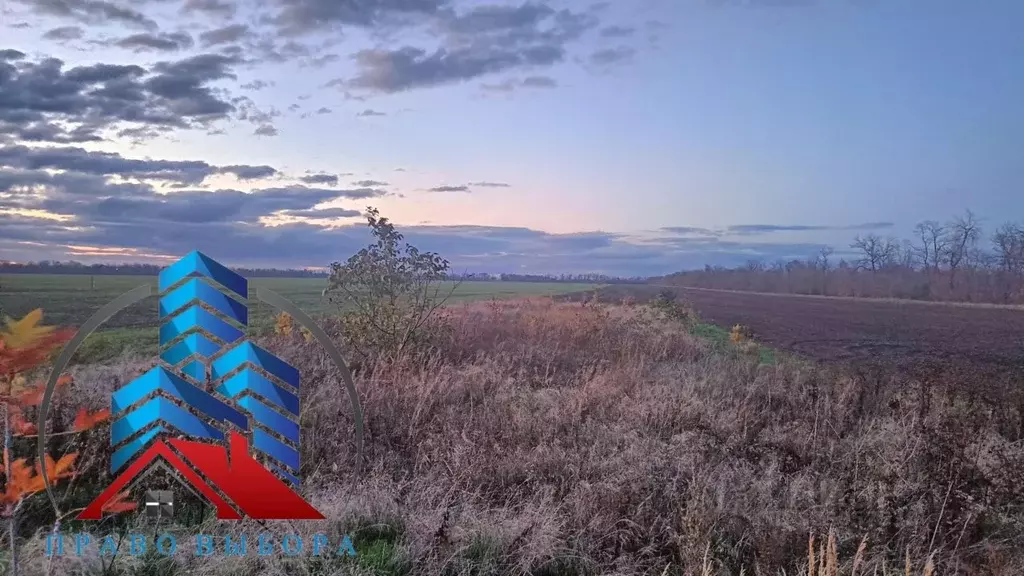 Участок в Ростовская область, Неклиновский район, Новобессергеневское ... - Фото 1