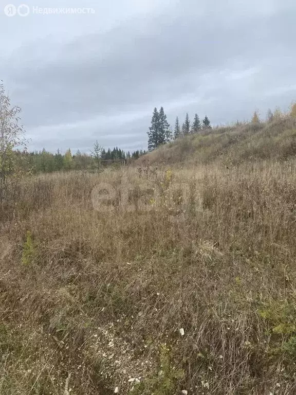 Участок в Республика Коми, муниципальный округ Ухта, посёлок ... - Фото 0