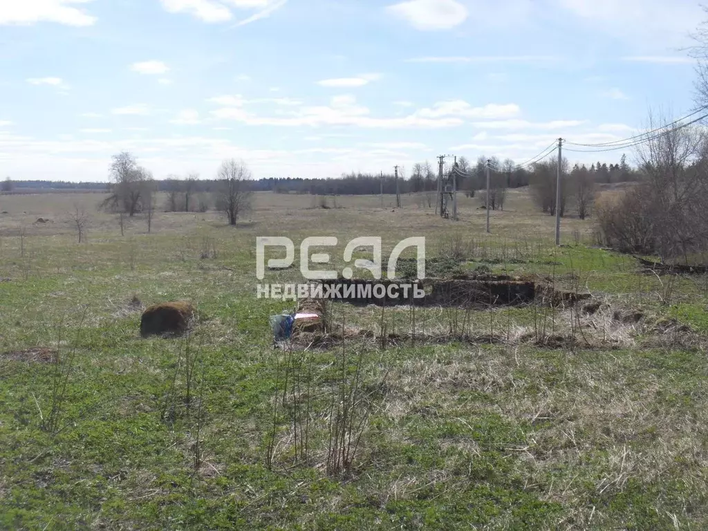 Участок в Ленинградская область, Волосовский район, Большеврудское ... - Фото 1