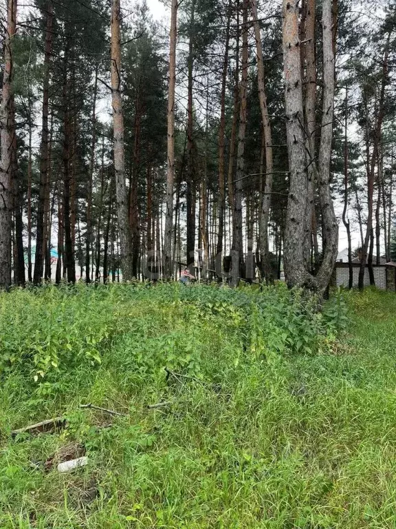 Участок в Воронежская область, Рамонский район, с. Ямное ул. Мира ... - Фото 0