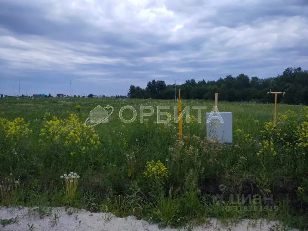 Участок в Тюменская область, Тюменский район, с. Каменка  (9.18 сот.) - Фото 1
