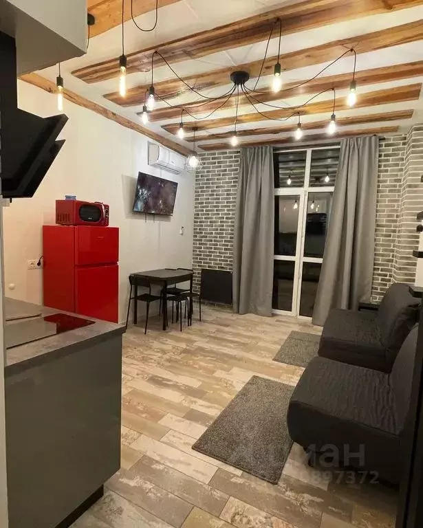 1-к кв. Краснодарский край, Сочи Красная Поляна пгт, ул. ... - Фото 1