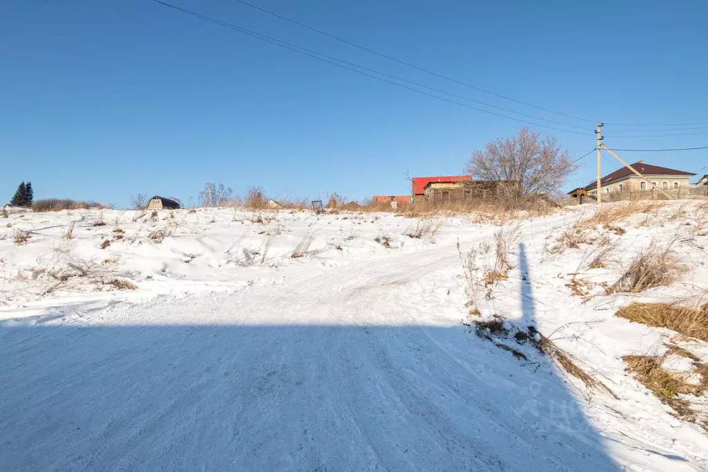 Участок в Новосибирская область, Новосибирский район, с. Барышево ... - Фото 1