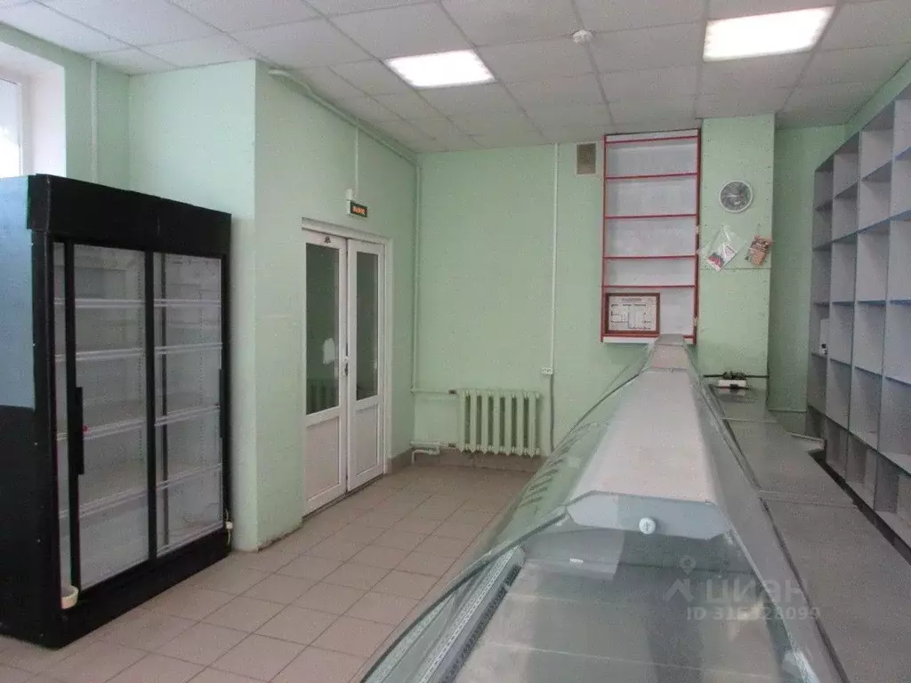 Торговая площадь в Ленинградская область, Гатчинский район, д. Батово ... - Фото 2