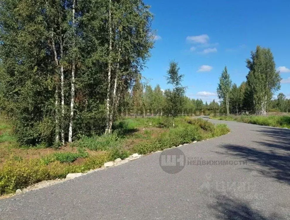 Участок в Ленинградская область, Всеволожский район, Куйвозовское ... - Фото 1