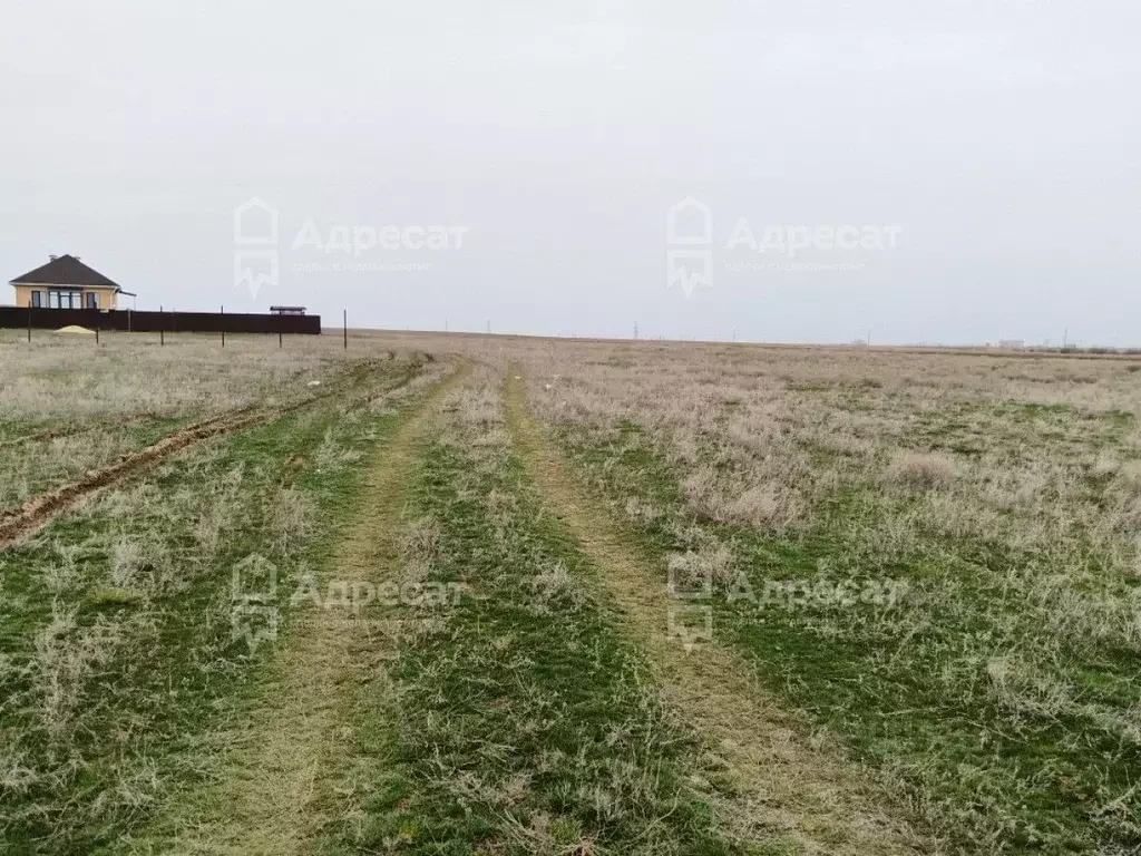 Участок в Волгоградская область, Волгоград ул. Груздевая (8.1 сот.) - Фото 0