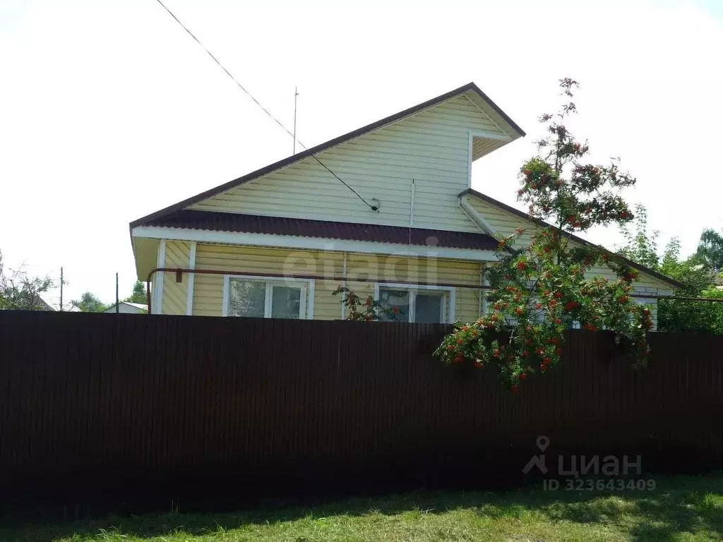 Дом в Нижегородская область, Навашино ул. Лермонтова, 24 (75 м) - Фото 2