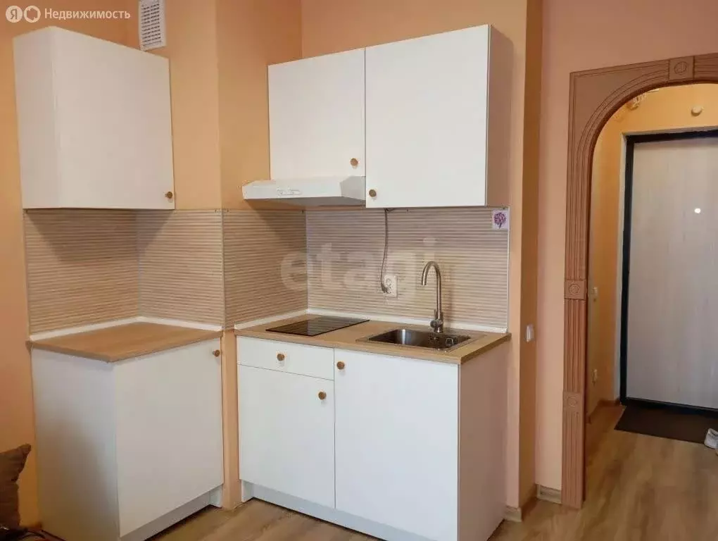 Квартира-студия: Санкт-Петербург, Среднерогатская улица, 16к2 (21 м) - Фото 1