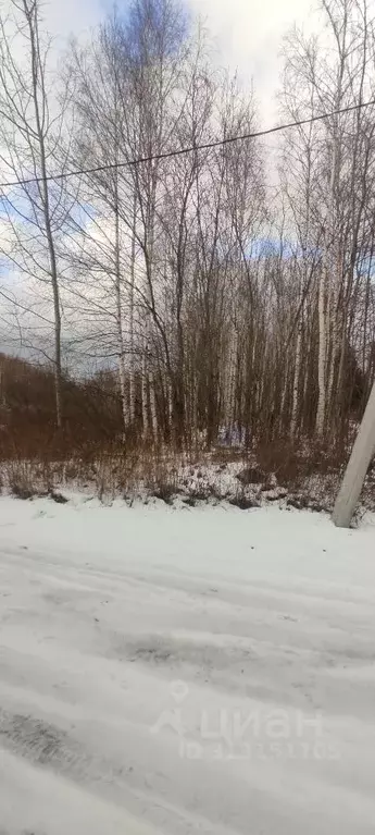 Участок в Нижегородская область, Чкаловск городской округ, д. Губцево ... - Фото 1