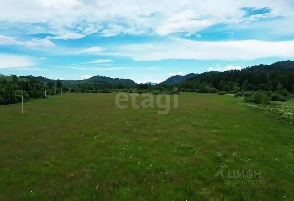 Участок в Алтай, Чойский район, с. Паспаул Заречная ул. (849.53 сот.) - Фото 1
