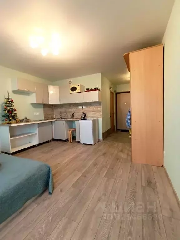 Студия Ленинградская область, Ломоносовский район, Виллозское ... - Фото 2