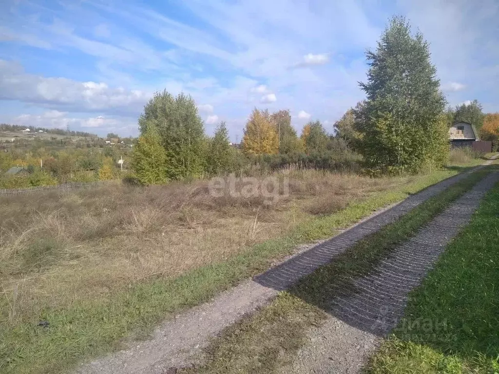 Участок в Красноярский край, Емельяновский район, Шуваевский ... - Фото 1