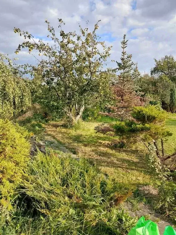 Дом в Челябинская область, Челябинск Тракторосад № 3 СНТ, 31 (48 м) - Фото 1