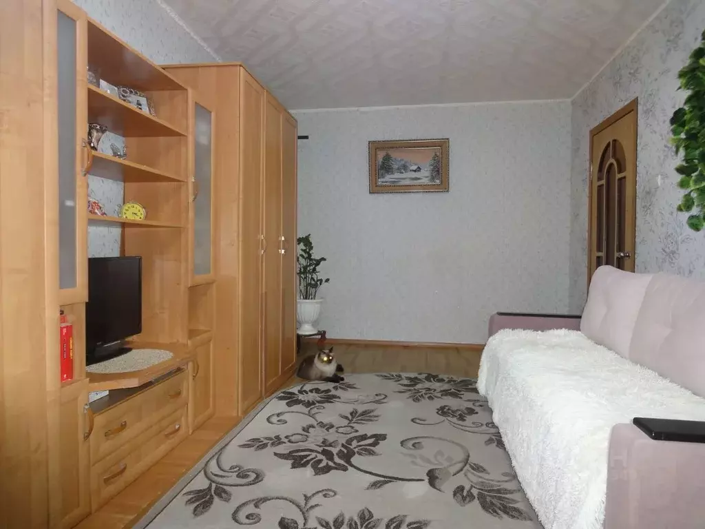 1-к кв. Владимирская область, Владимир Лесной мкр, ул. Лесная, 5 (34.4 ... - Фото 2