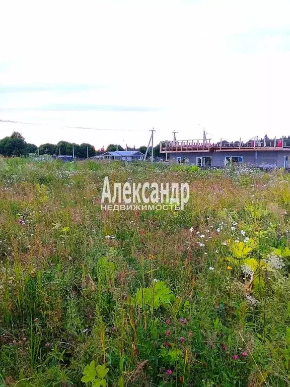 Участок в Ленинградская область, Ломоносовский район, Гостилицкое ... - Фото 1