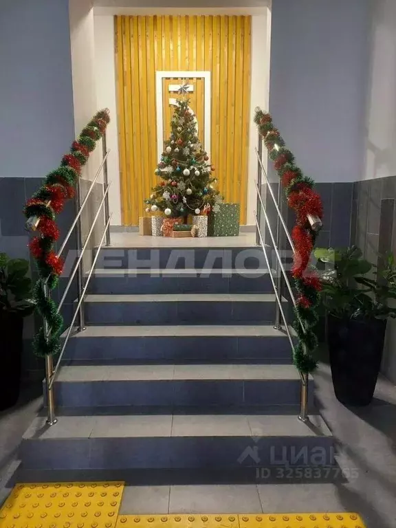 Студия Ростовская область, Ростов-на-Дону ул. Ткачева, 38с1 (27.0 м) - Фото 2