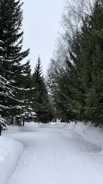 Коттедж в Московская область, Богородский городской округ, д. ... - Фото 1