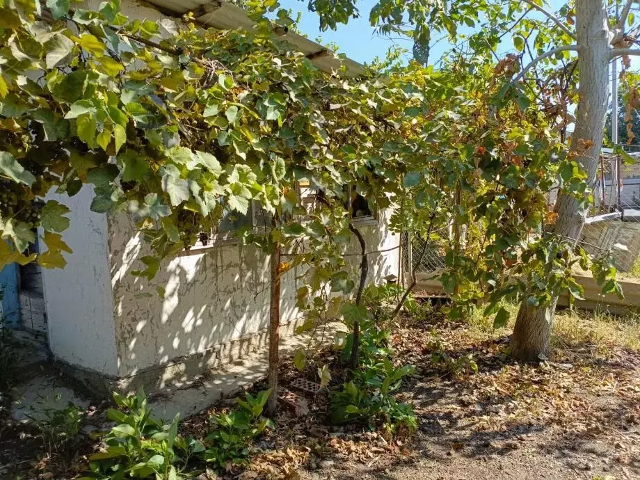 Дом в Краснодарский край, Темрюк ул. Космонавтов, 50 (69 м) - Фото 2