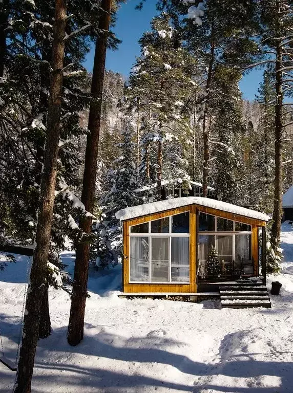 Дом в Алтай, Турочакский район, с. Артыбаш ул. Юртокская, 24 (36 м) - Фото 1