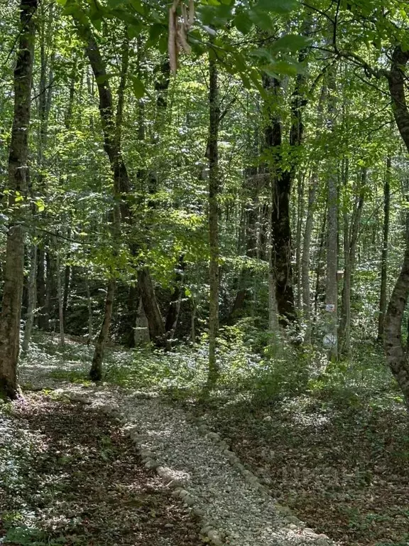 Участок в Краснодарский край, Апшеронский район, Нижегородское с/пос, ... - Фото 2