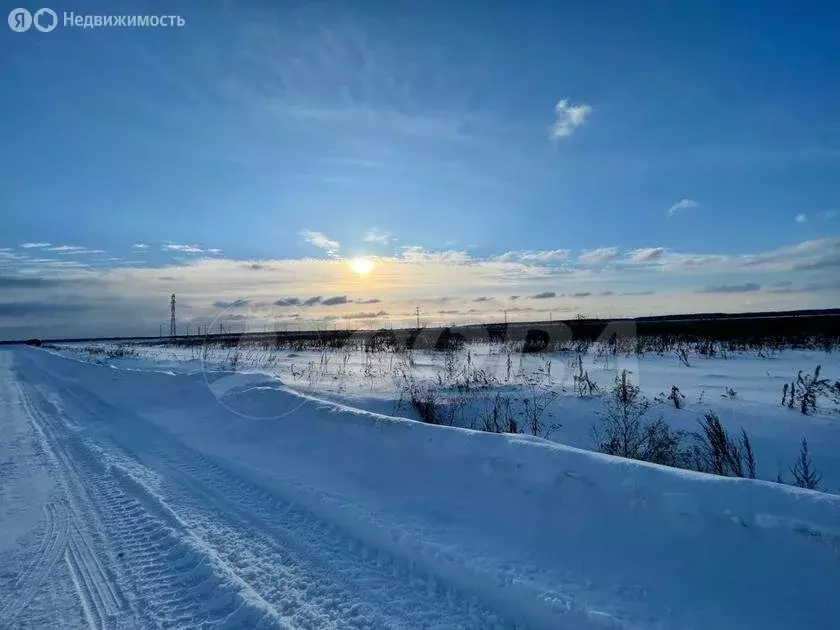 Участок в Тюменский район, деревня Елань (8 м) - Фото 0