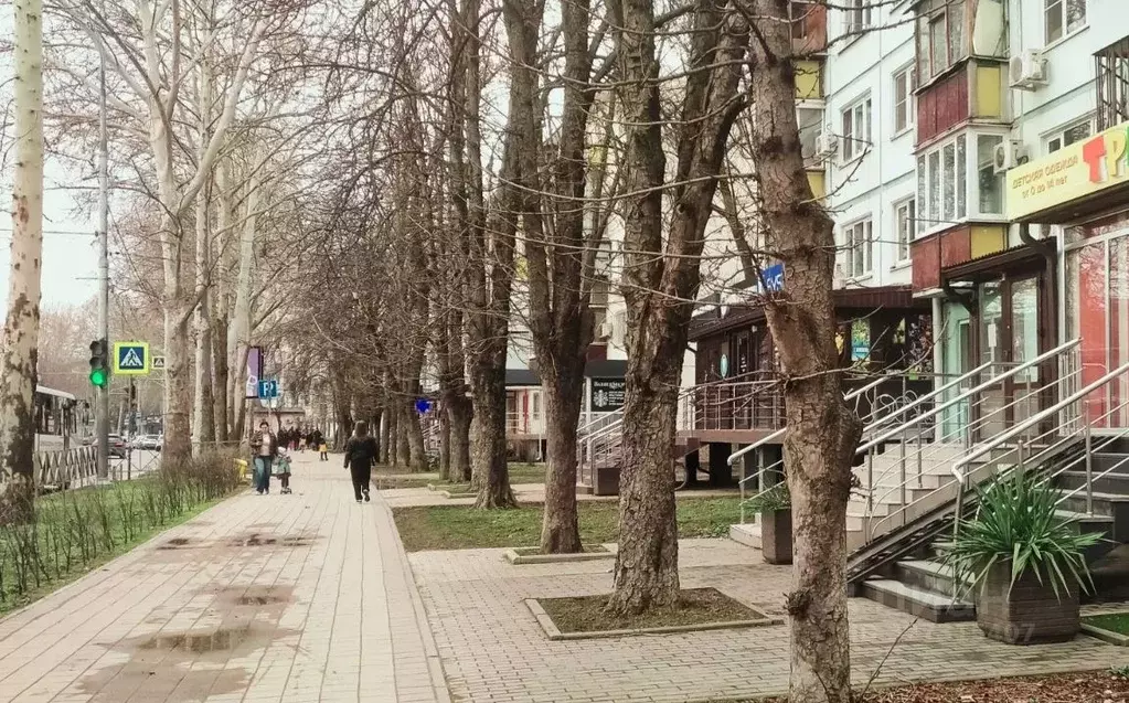 Помещение свободного назначения в Краснодарский край, Краснодар ... - Фото 1