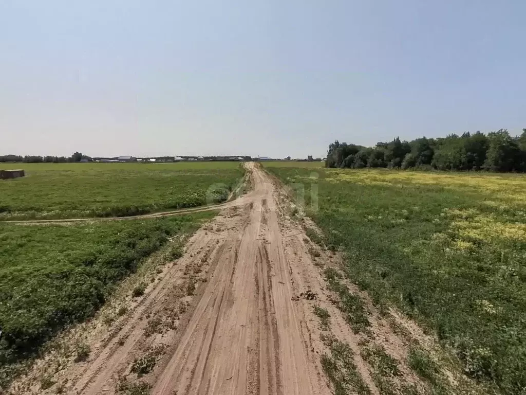 Участок в Тюменская область, Тюменский район, с. Борки  (11.42 сот.) - Фото 0