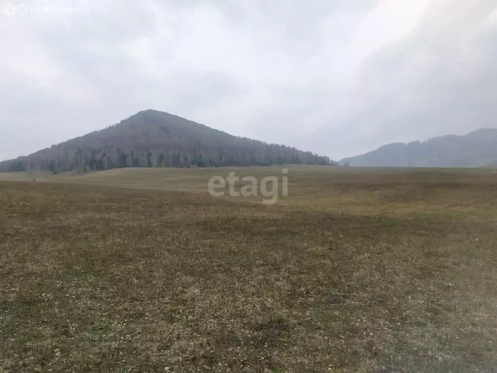 Участок в Алтайский район, Алтайский сельсовет (10 м) - Фото 0