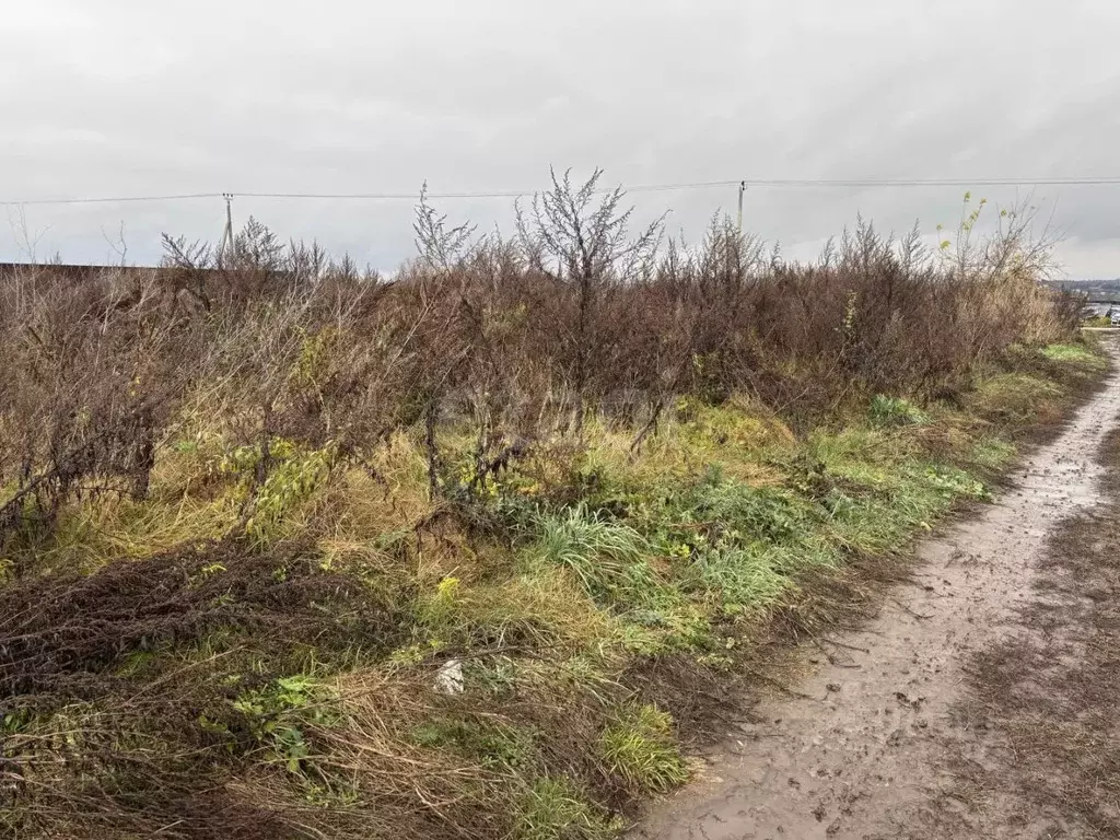 Участок в Тульская область, Тула городской округ, д. Ямны ул. Мирная, ... - Фото 2