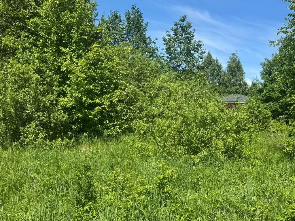 Участок в Московская область, Солнечногорск городской округ, д. ... - Фото 1