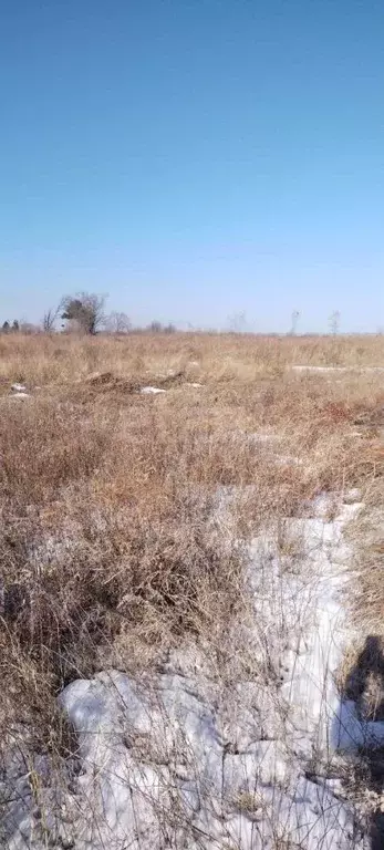 Участок в Амурская область, Благовещенск Багульник СНТ,  (8.0 сот.) - Фото 0