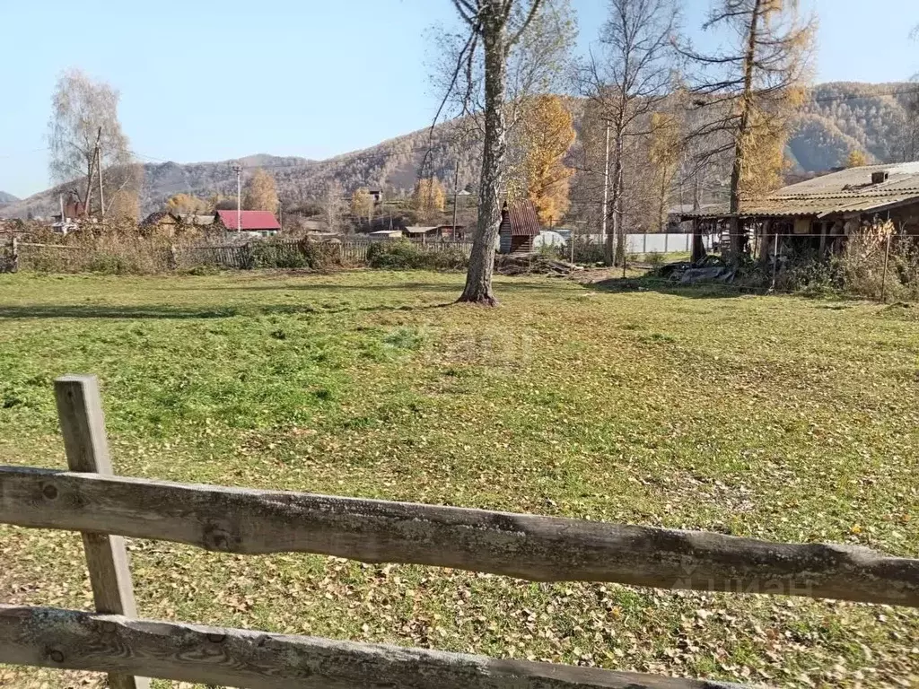 Участок в Алтай, Шебалинский район, с. Черга ул. Горького (13.1 сот.) - Фото 0