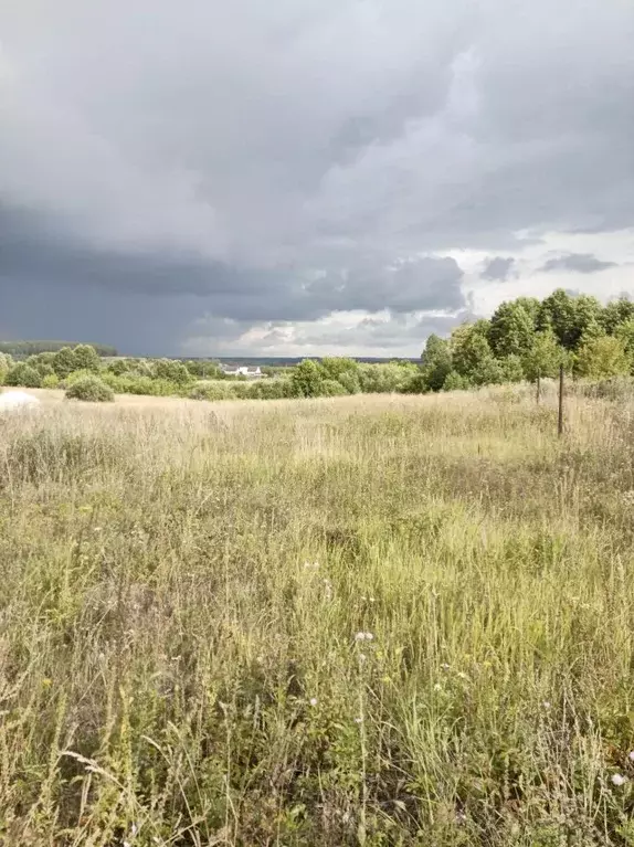 Участок в Мордовия, Лямбирский район, Пензятское с/пос, с. Пензятка  ... - Фото 1
