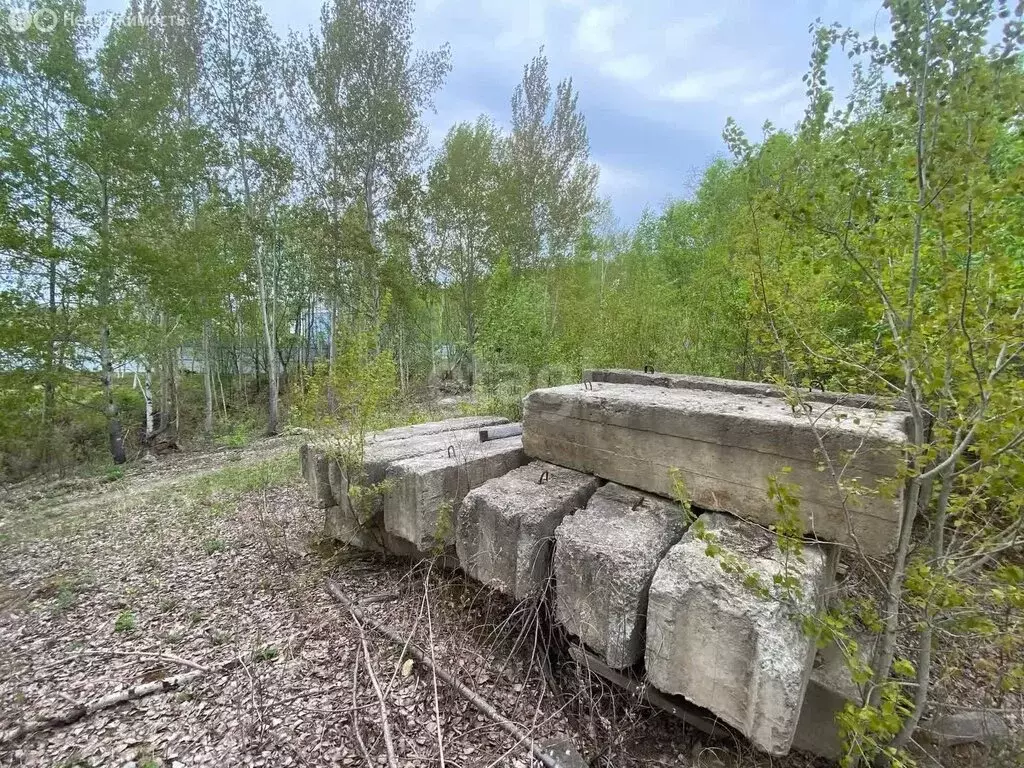 Участок в Хабаровск, Садоводческое некоммерческое товарищество ... - Фото 0