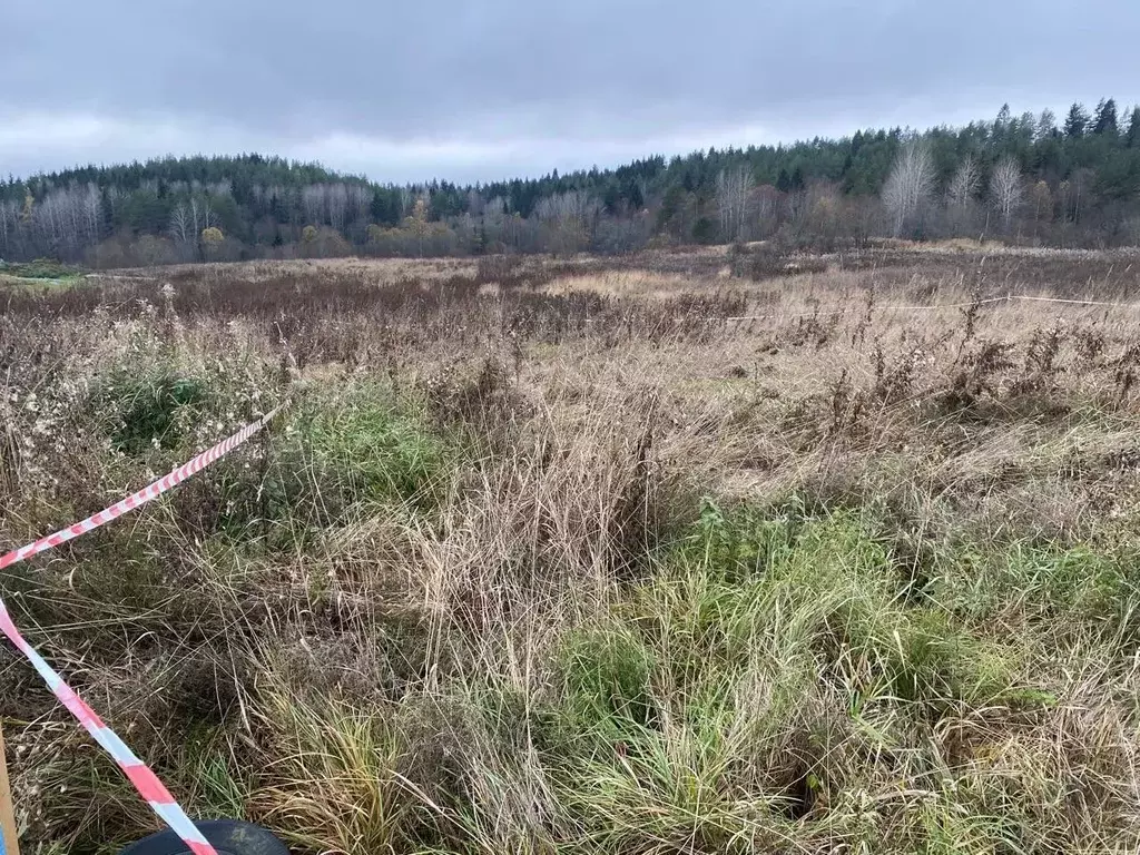 Участок в Карелия, Сортавальский муниципальный округ, пос. ... - Фото 1