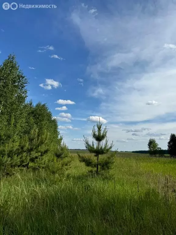 Участок в Рассказово, Рассказовская улица (6 м) - Фото 1