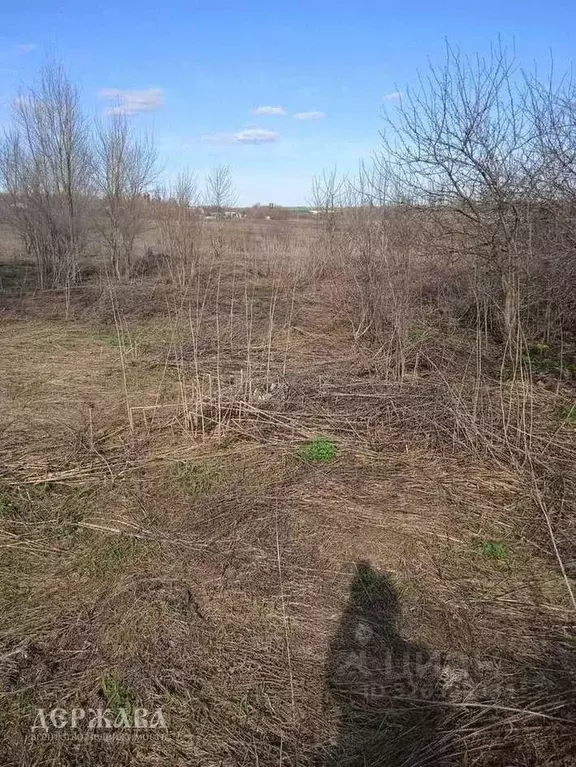 Дом в Белгородская область, Старооскольский городской округ, с. ... - Фото 2