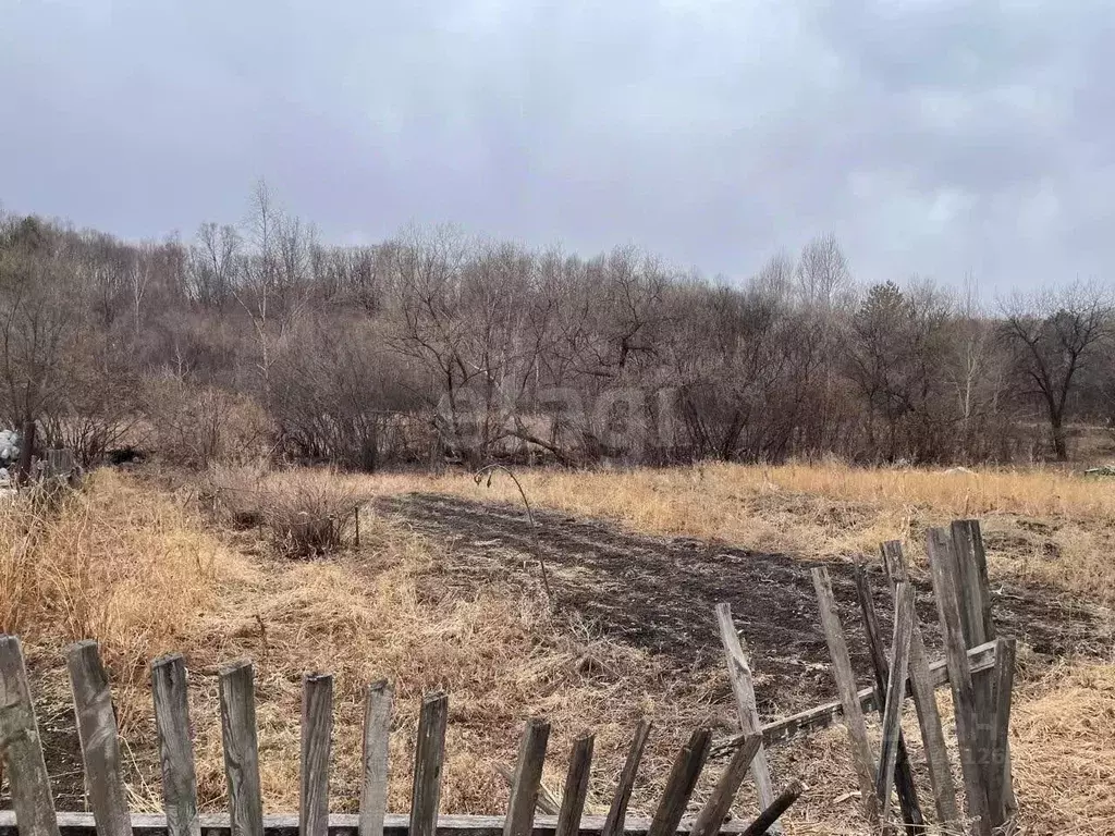 Участок в Амурская область, Благовещенский район, Колос СТ  (5.48 ... - Фото 1