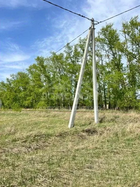 Участок в Омская область, Омский район, с. Усть-Заостровка  (7.0 сот.) - Фото 1