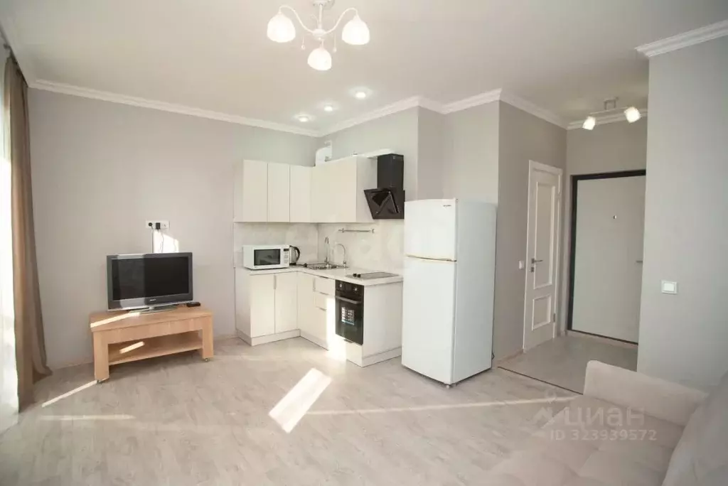 Студия Ульяновская область, Ульяновск ул. Генерала Кашубы, 4 (24.1 м) - Фото 1