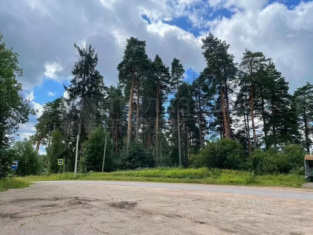 Участок в Новгородская область, Окуловка Славная ул., 26 (302.1 сот.) - Фото 2