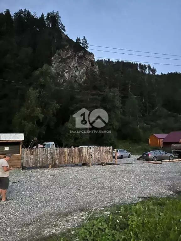 Участок в Алтай, Майминский район, Усть-Мунинское с/пос, пос. Барангол ... - Фото 1