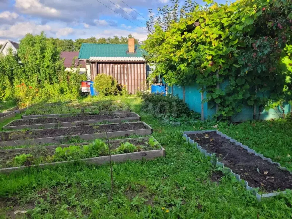 Дом в Калининградская область, Гурьевск Новое СТ Янтарь ТСН,  (12 м) - Фото 1