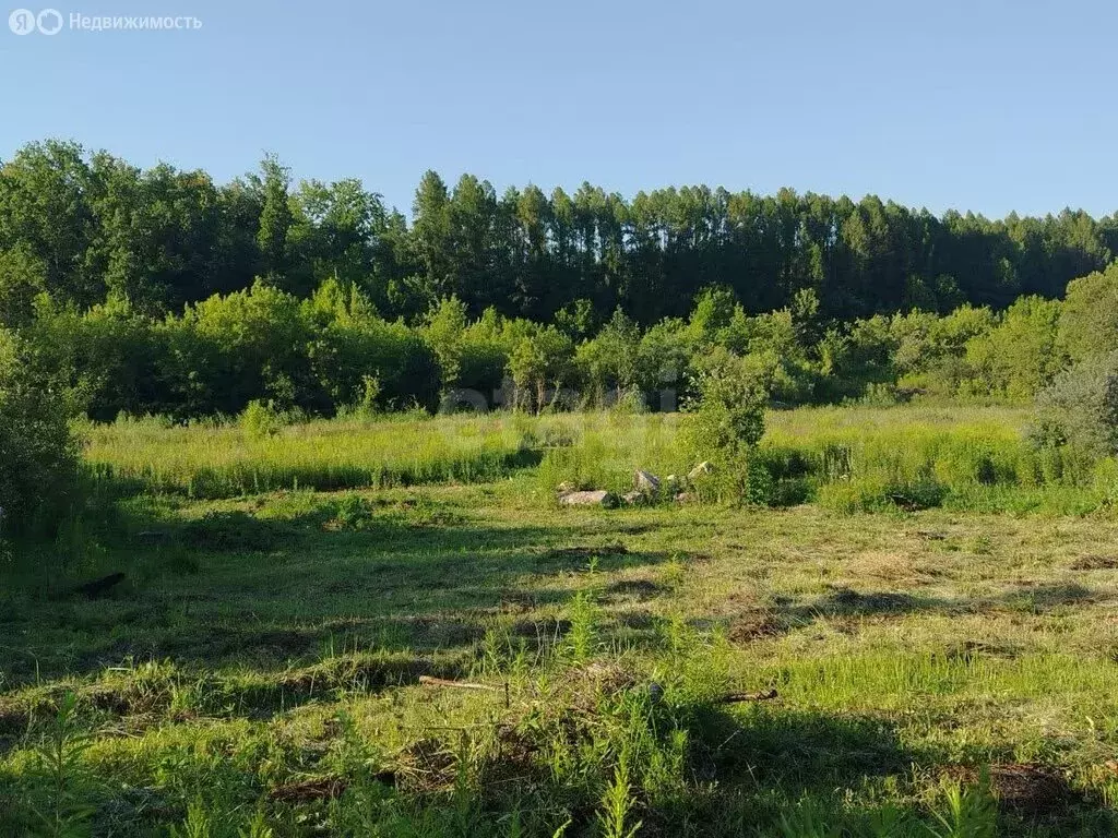 Участок в Саранск, 2-я Набережная улица (7.5 м) - Фото 2