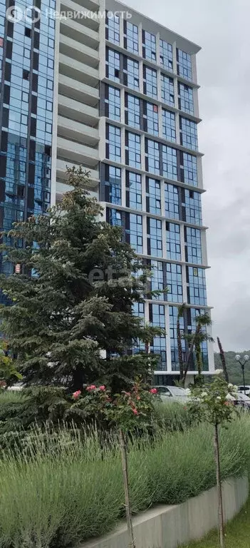 Квартира-студия: Сочи, микрорайон Бытха, Ясногорская улица, 16/6к3 ... - Фото 1
